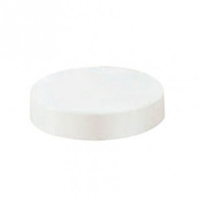 South Asia Exact UPVC Soil Waste And Ventilation Series End Cap