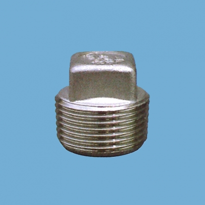 Elsa Brand Type 304 Stainless Steel Fitting Plug